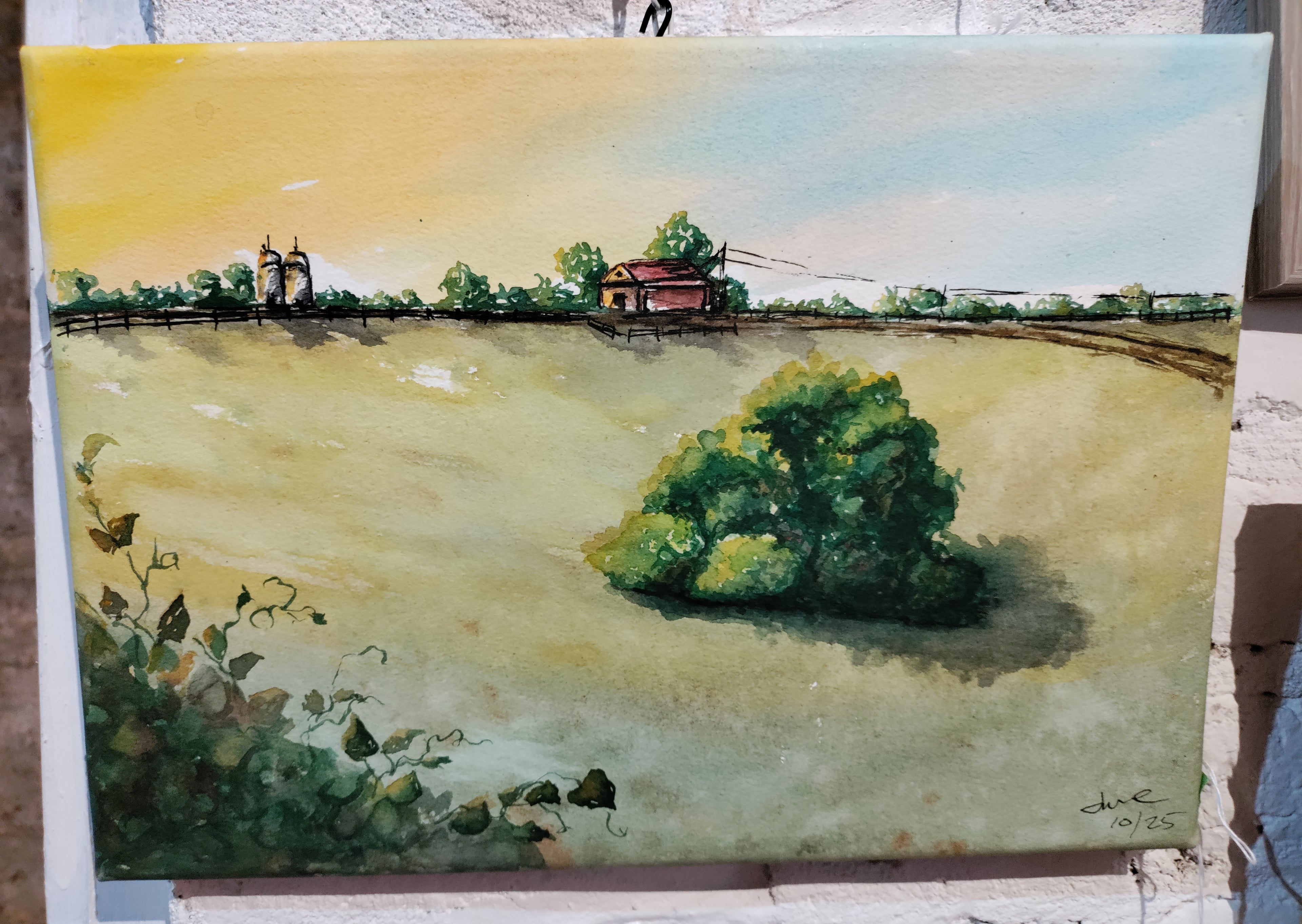 "Field & Light Study"
