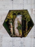 "Curiosities"
