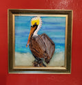 "Pelican"