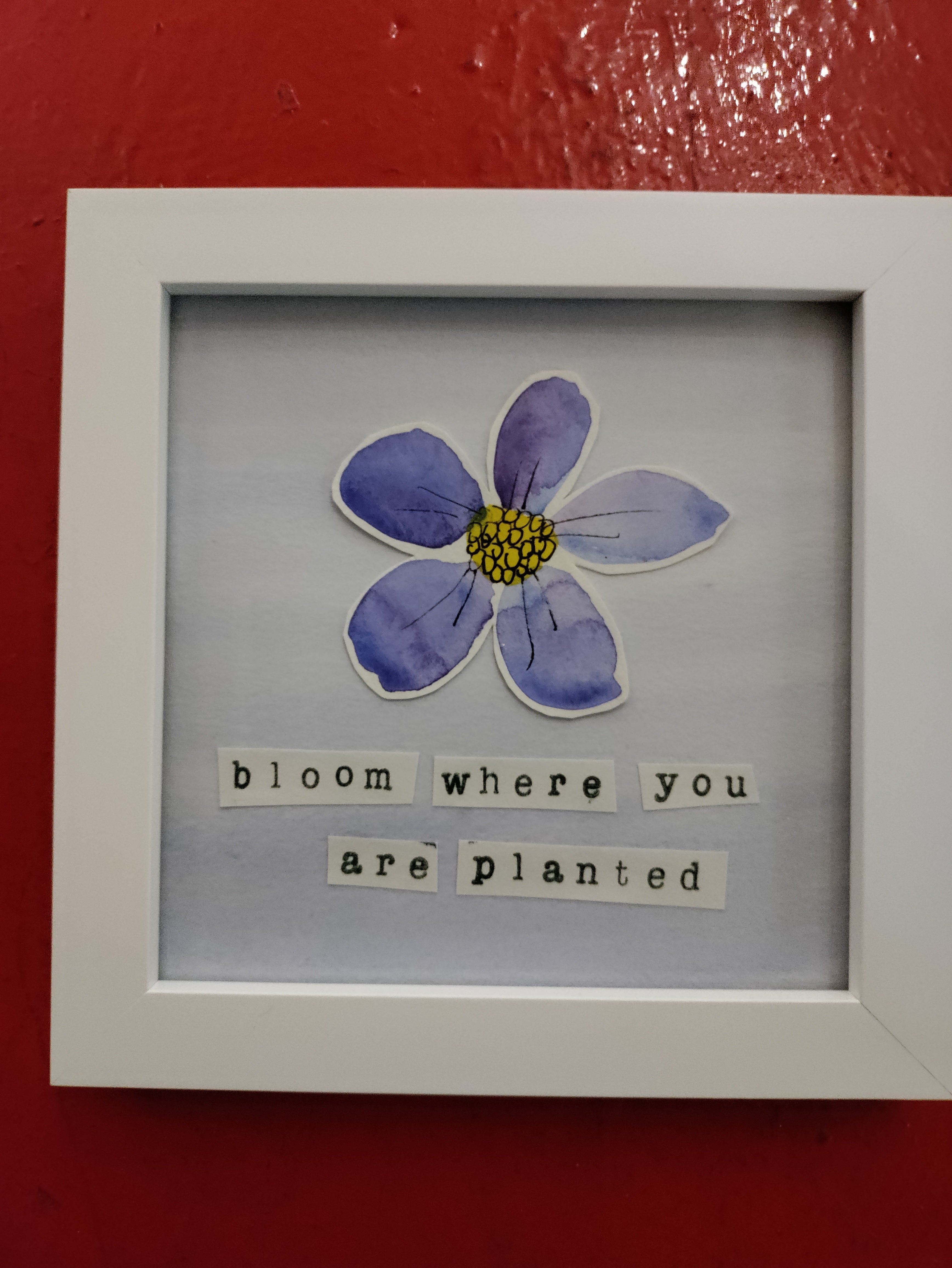 "Bloom Where You are Planted"