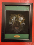 "Tiger Jungle"