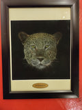 "Lep Serengeti"