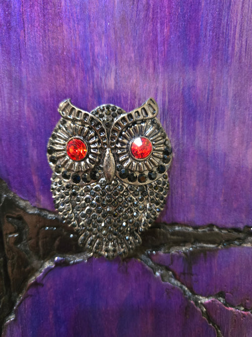 "Aurora Bore-owl-is"