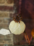 MJ Pumpkin White