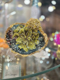 Golden Flower
