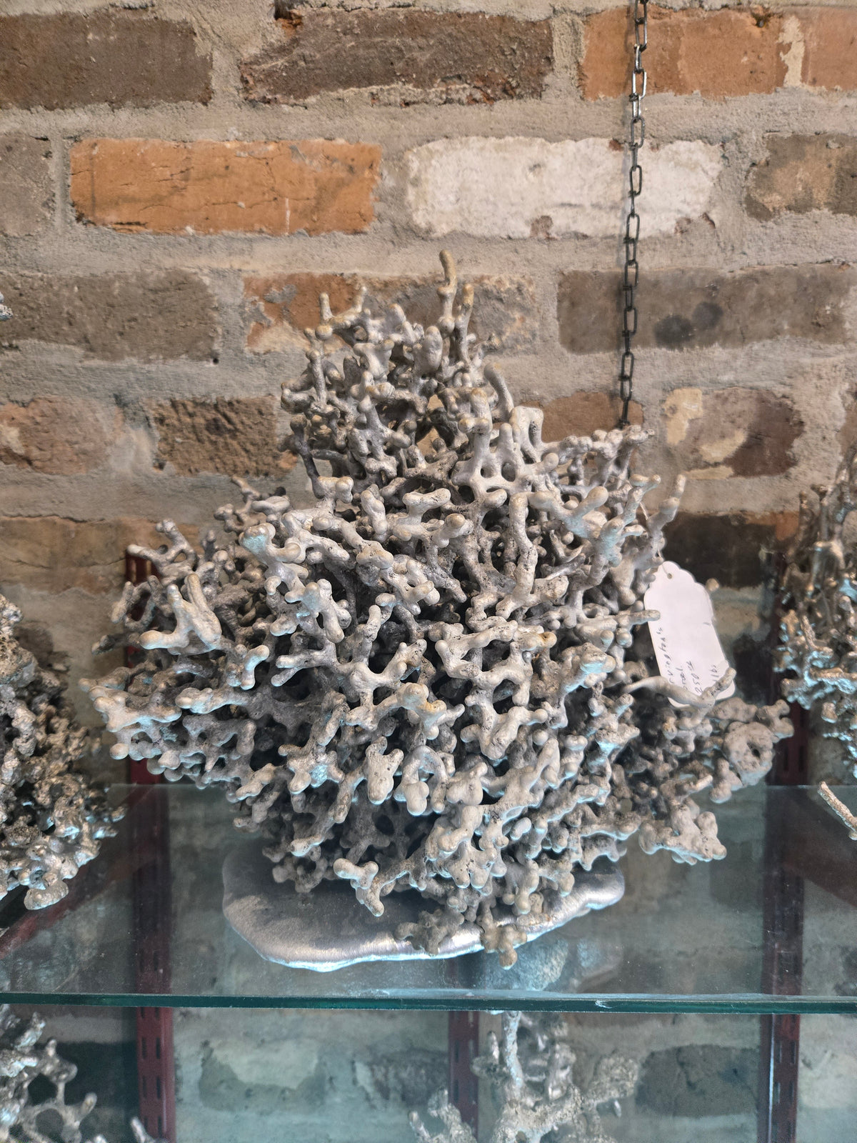 Irvington's Coral