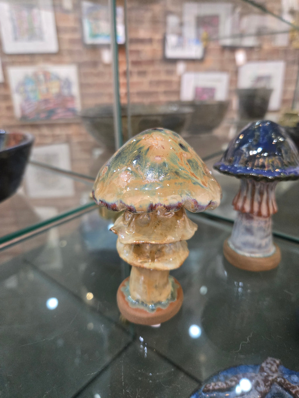 Assorted Mushrooms