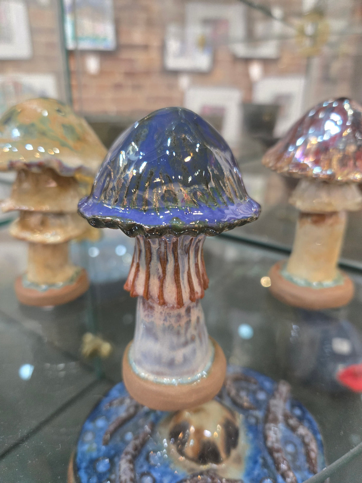 Assorted Mushrooms