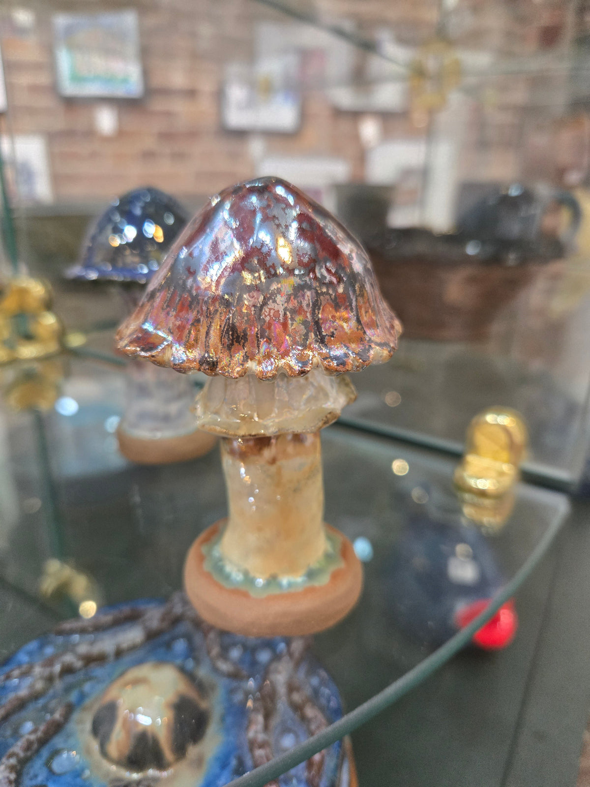 Assorted Mushrooms