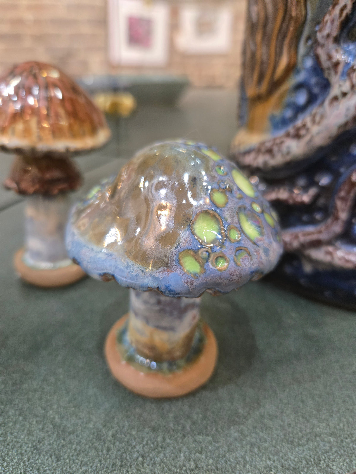 Assorted Mushrooms