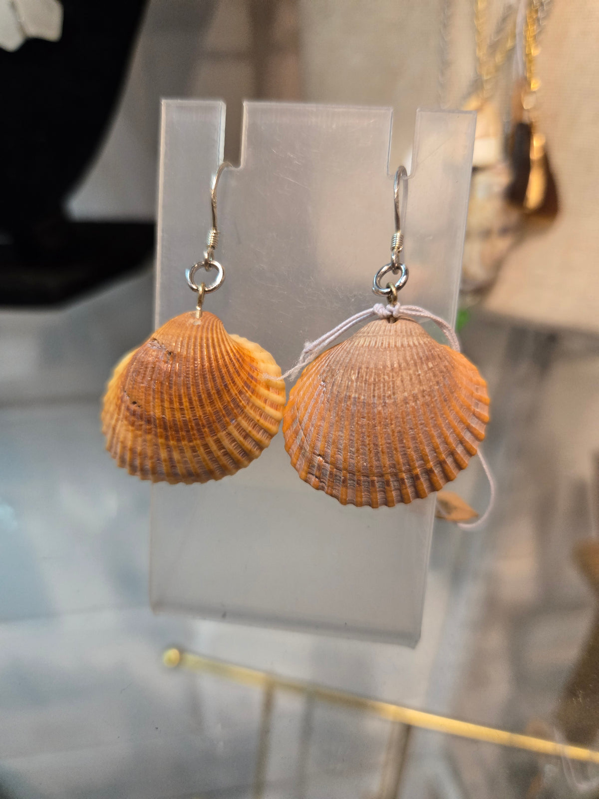 Brown Dauphin Island Shell Earrings
