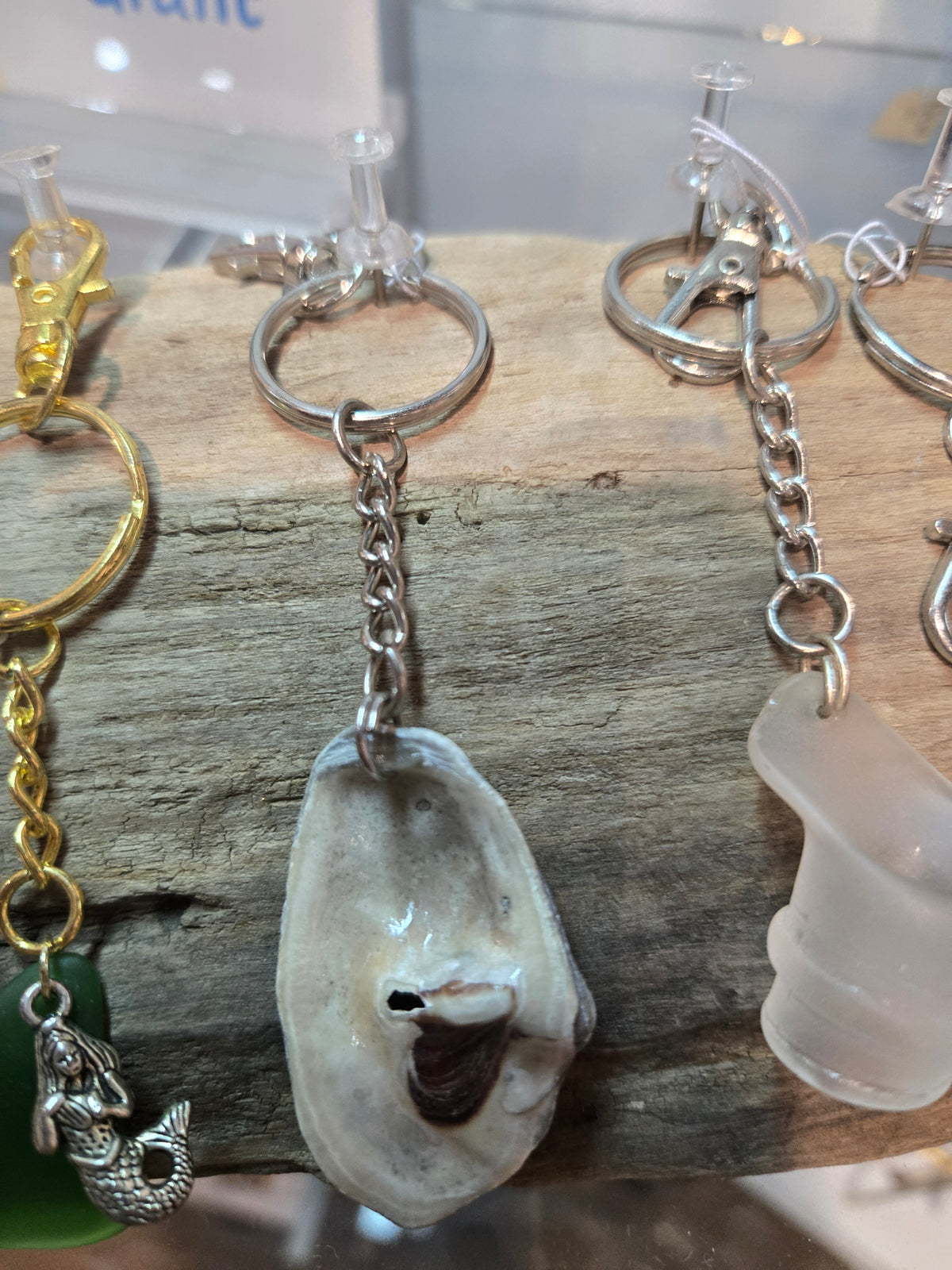 Mobile Bay Seashell Keychain