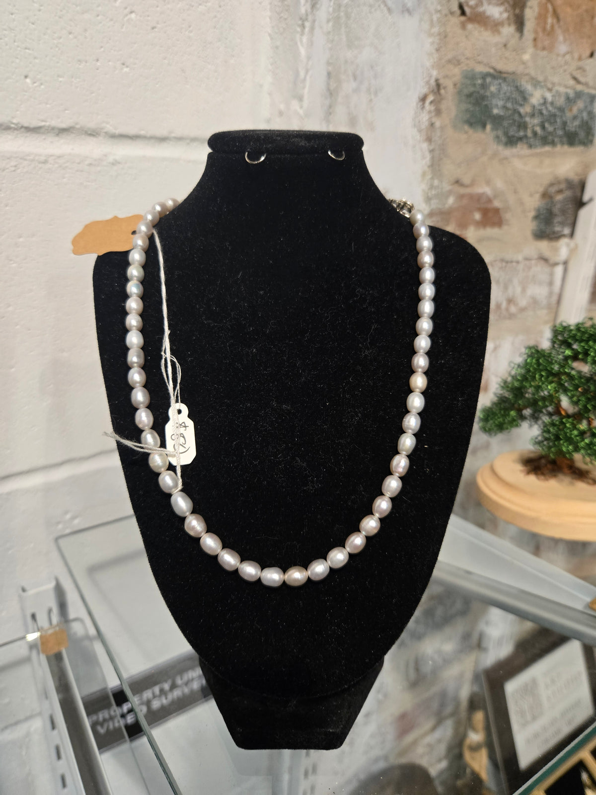 Shine Necklace