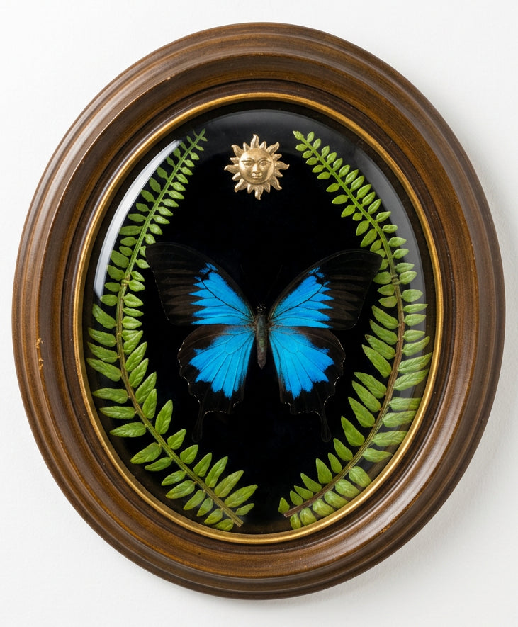 Convex Frame with Blue Mountain Swallowtail