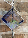 Air Plant Holder