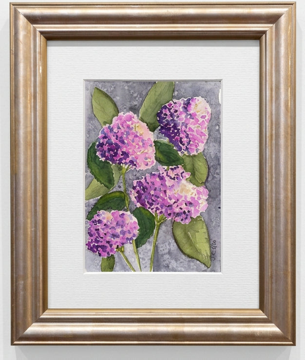 Purple Hydragea