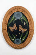 Convex Frame with 2 Polyphemus Moths & Florals