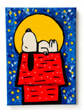 Night Beagle