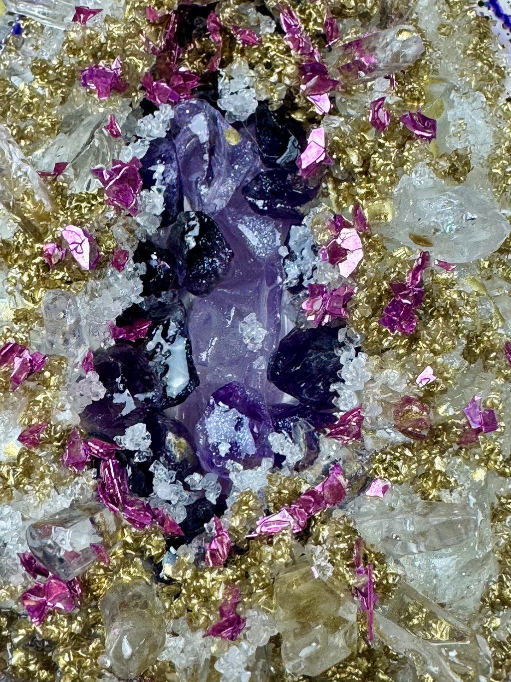 "Aubergine Dreams 2"