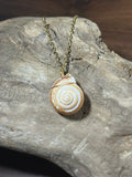 Gold Swirl Shell Necklace