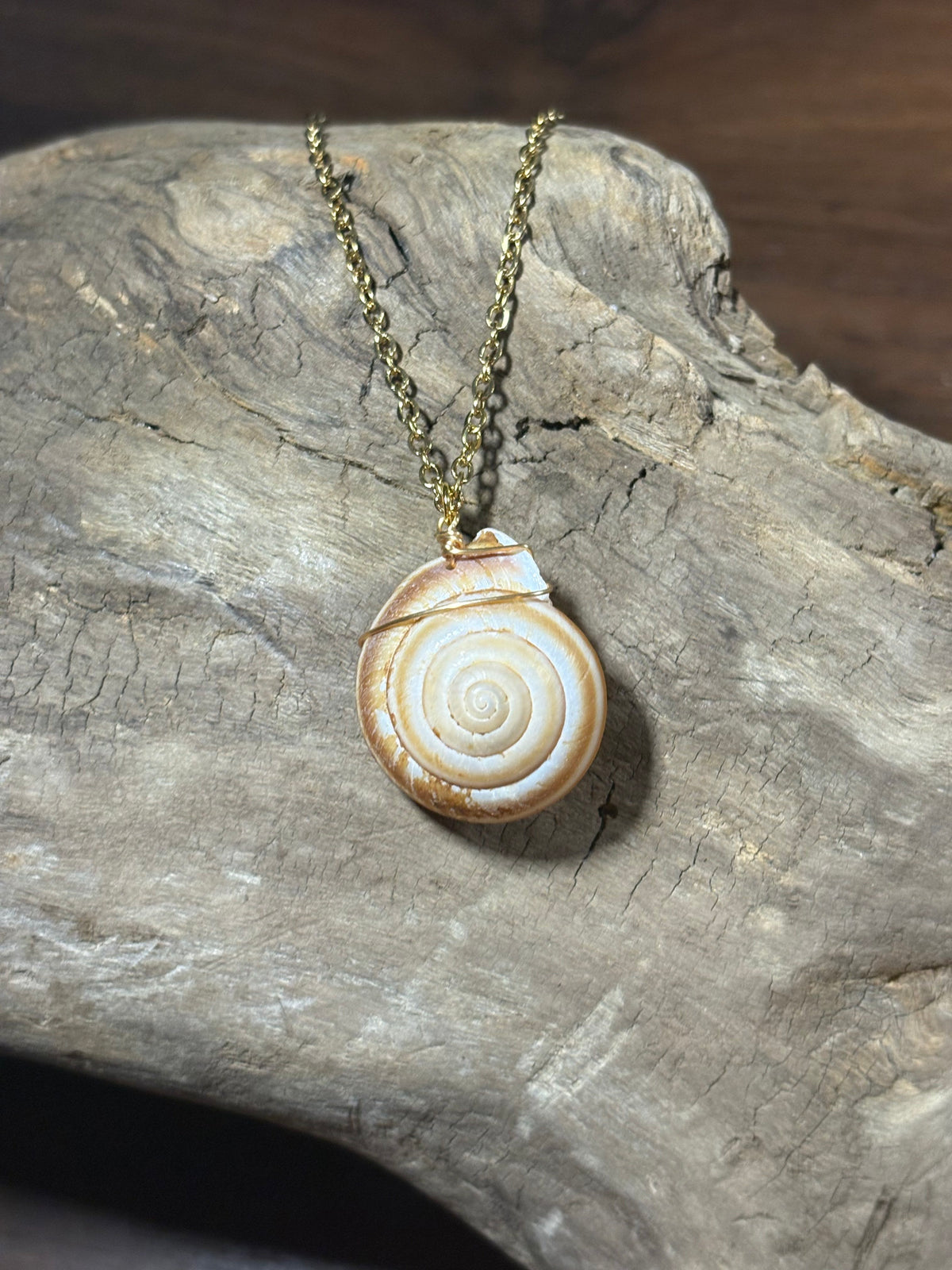 Gold Swirl Shell Necklace