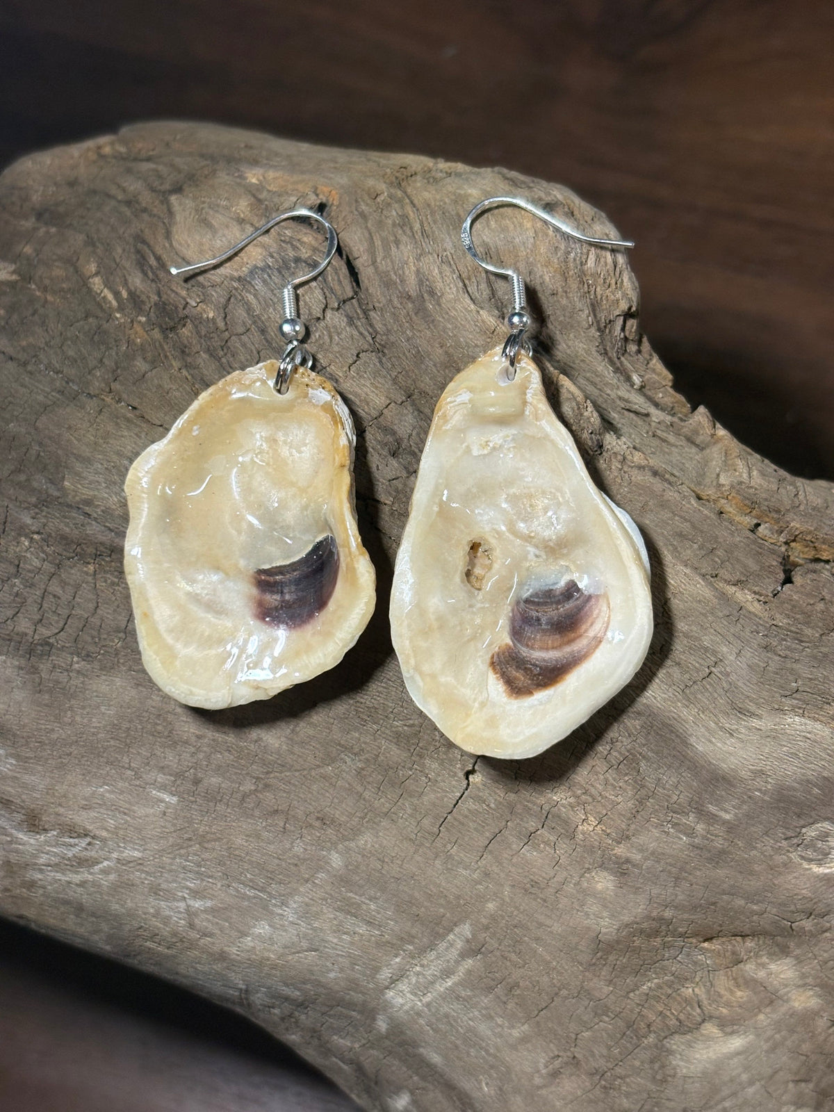 Natural Shell Earrings