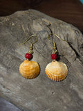 Orange & Red Shell Earrings