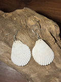 White & Silver Natural Shell Earring