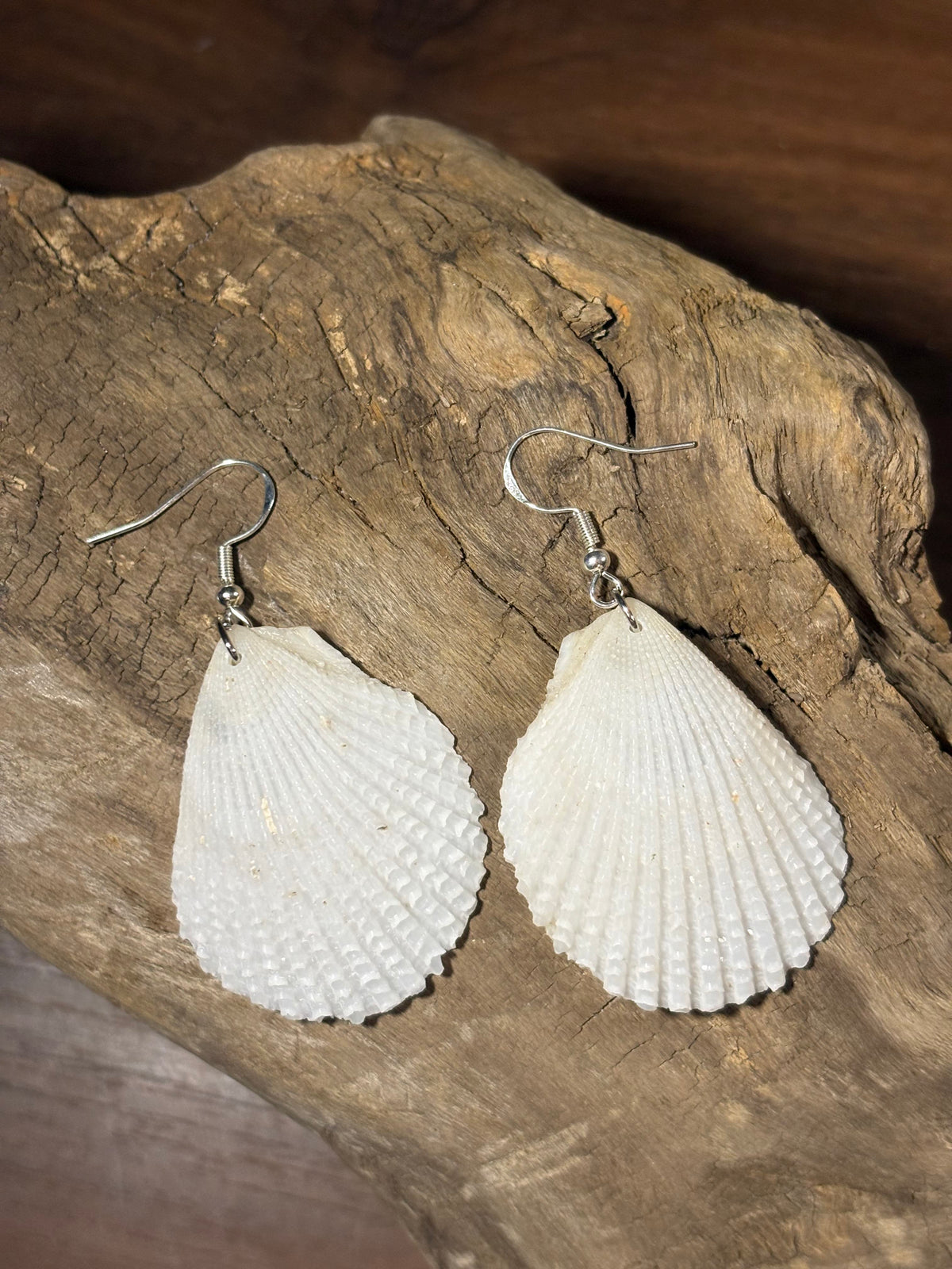 White & Silver Natural Shell Earring