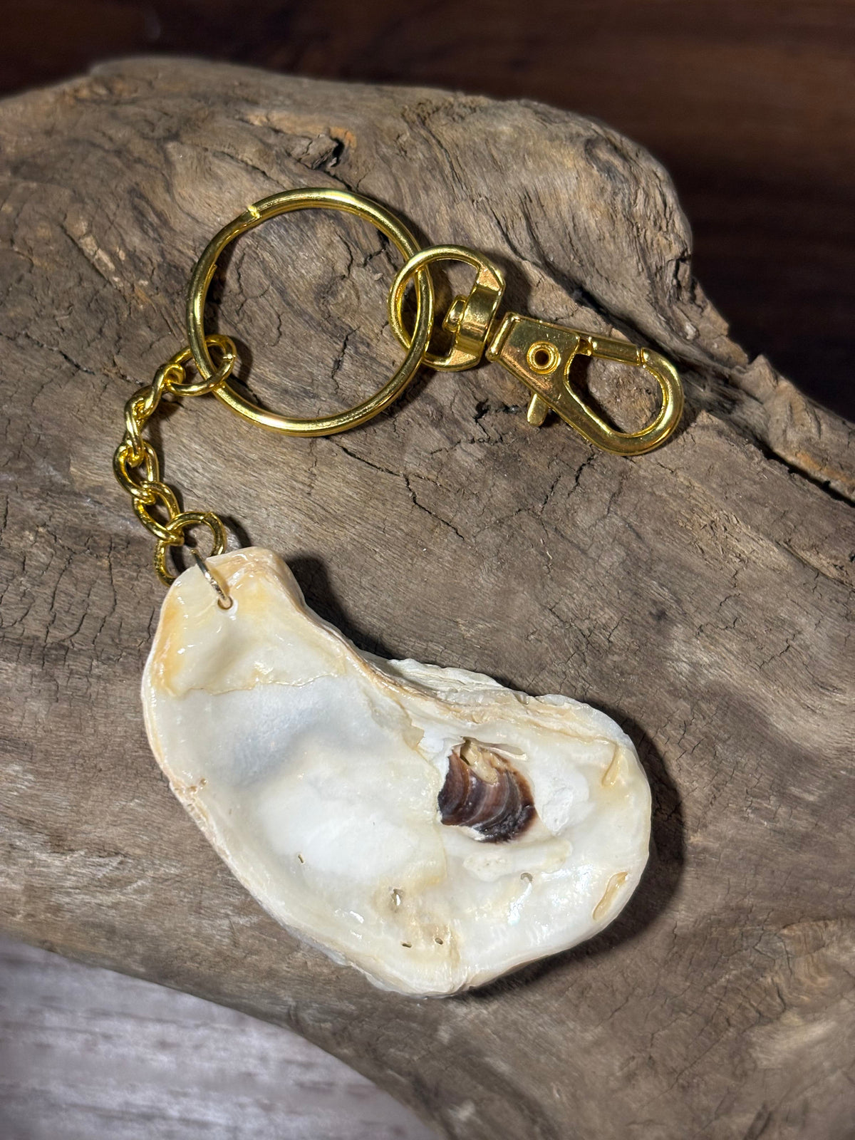 Gold Chain Seashell Keychain