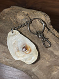 Silver Chain Seashell Keychain
