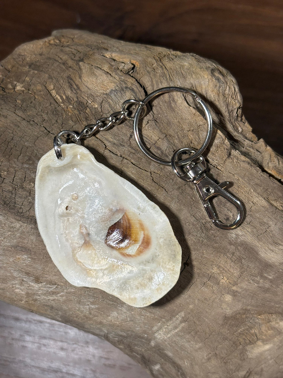 Silver Chain Seashell Keychain