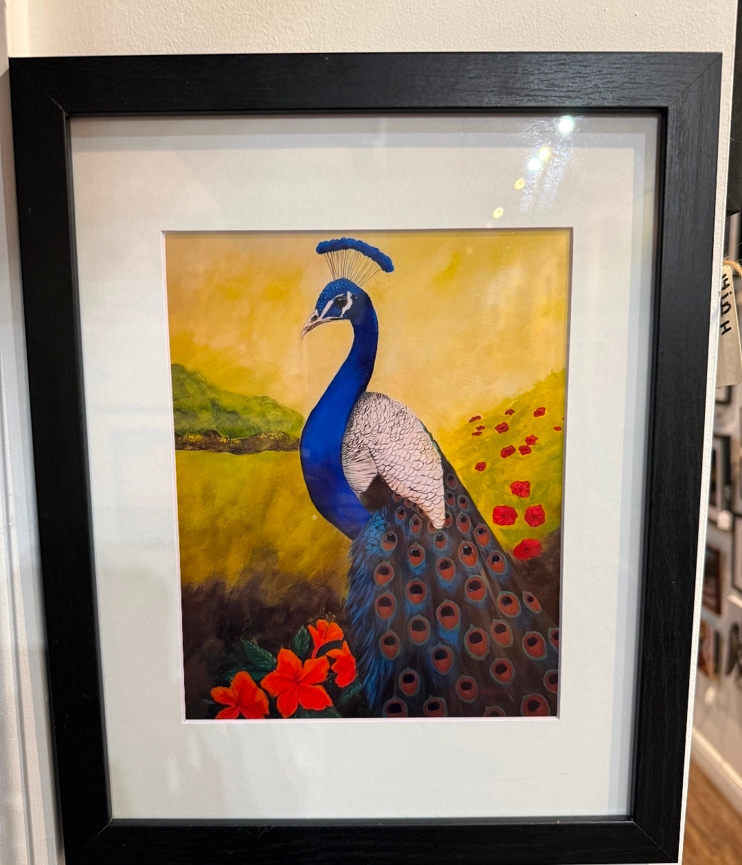 Color on Color- Framed