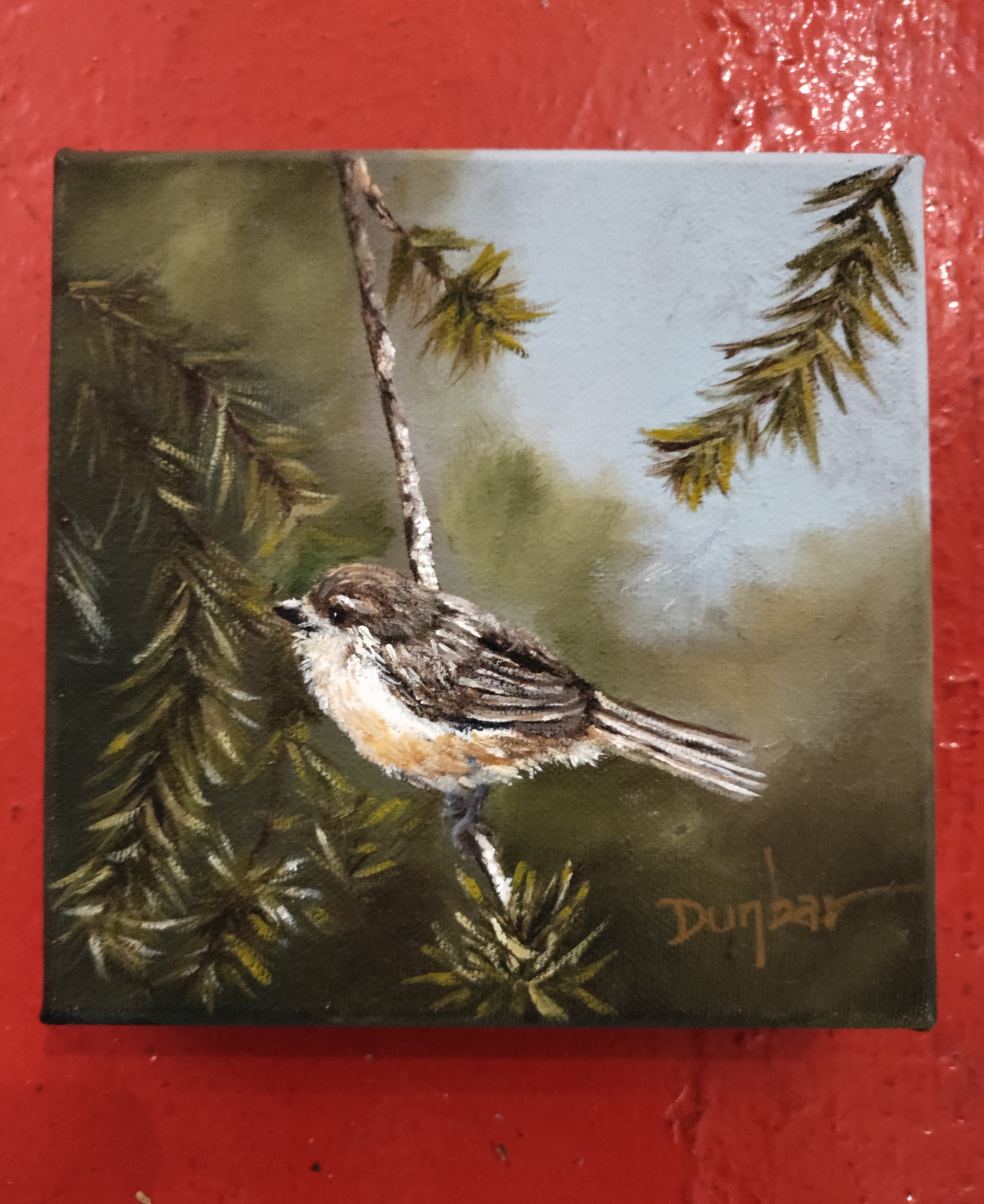 "Fuzzy Wren"