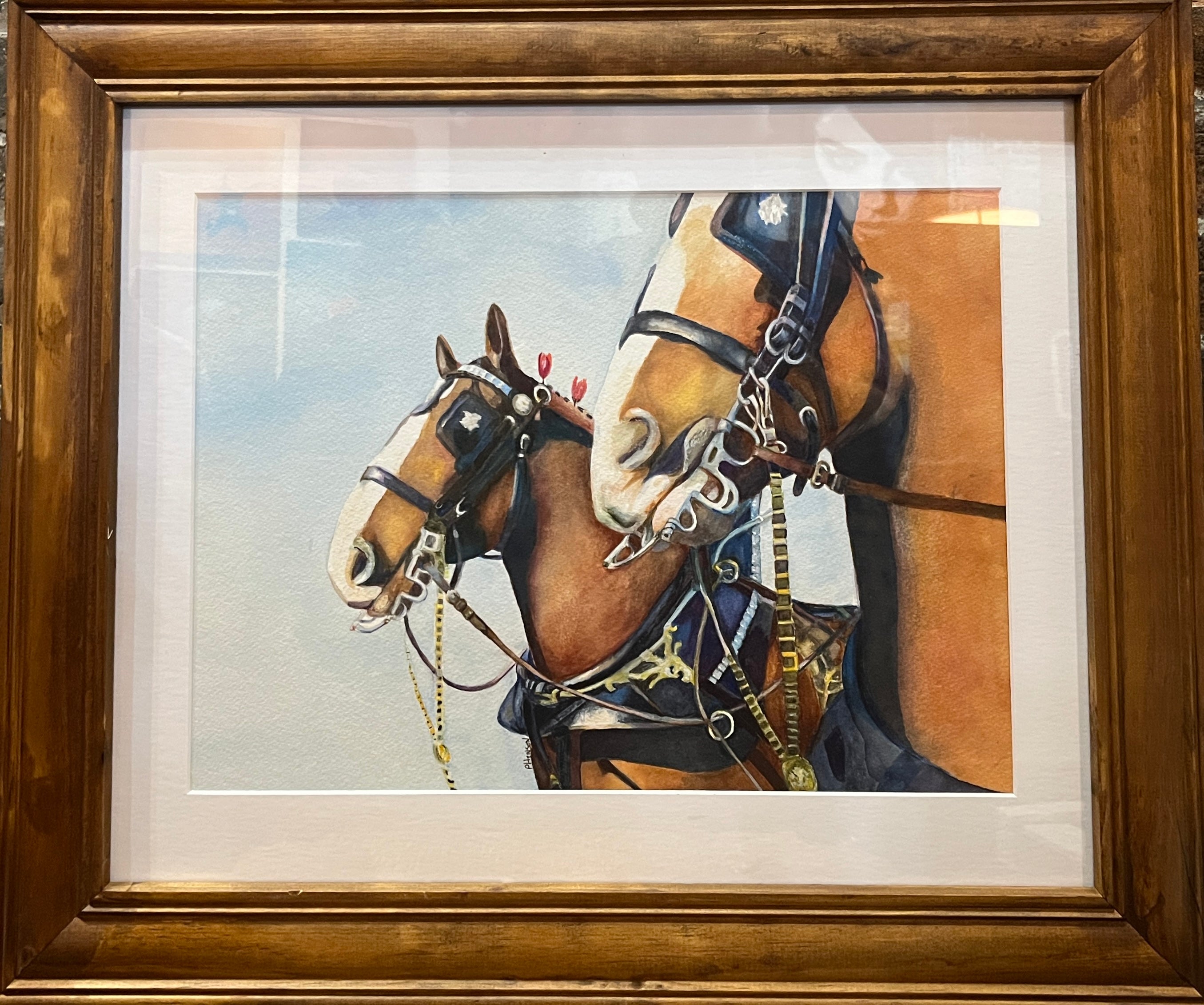 "Clydesdales"