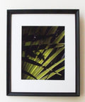 "Light and Shadow"