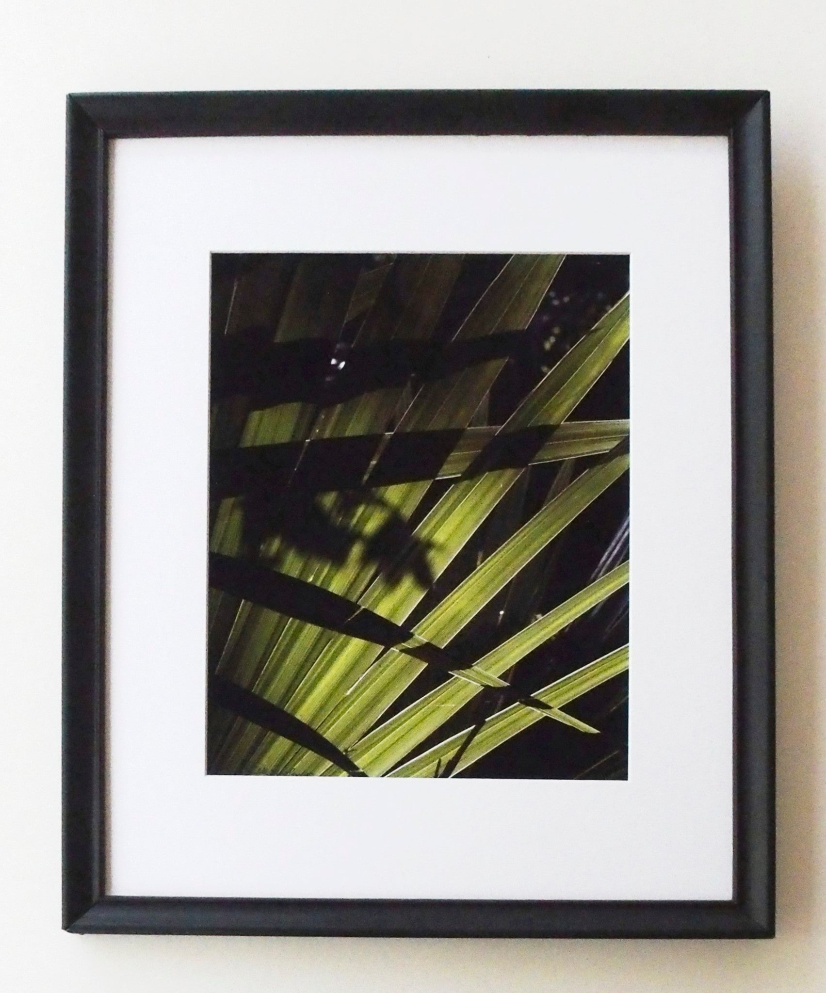 "Light and Shadow"