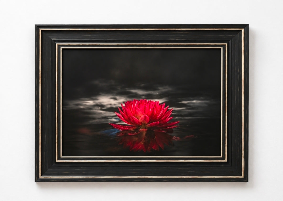 Bloom