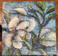 "Morning Magnolia"