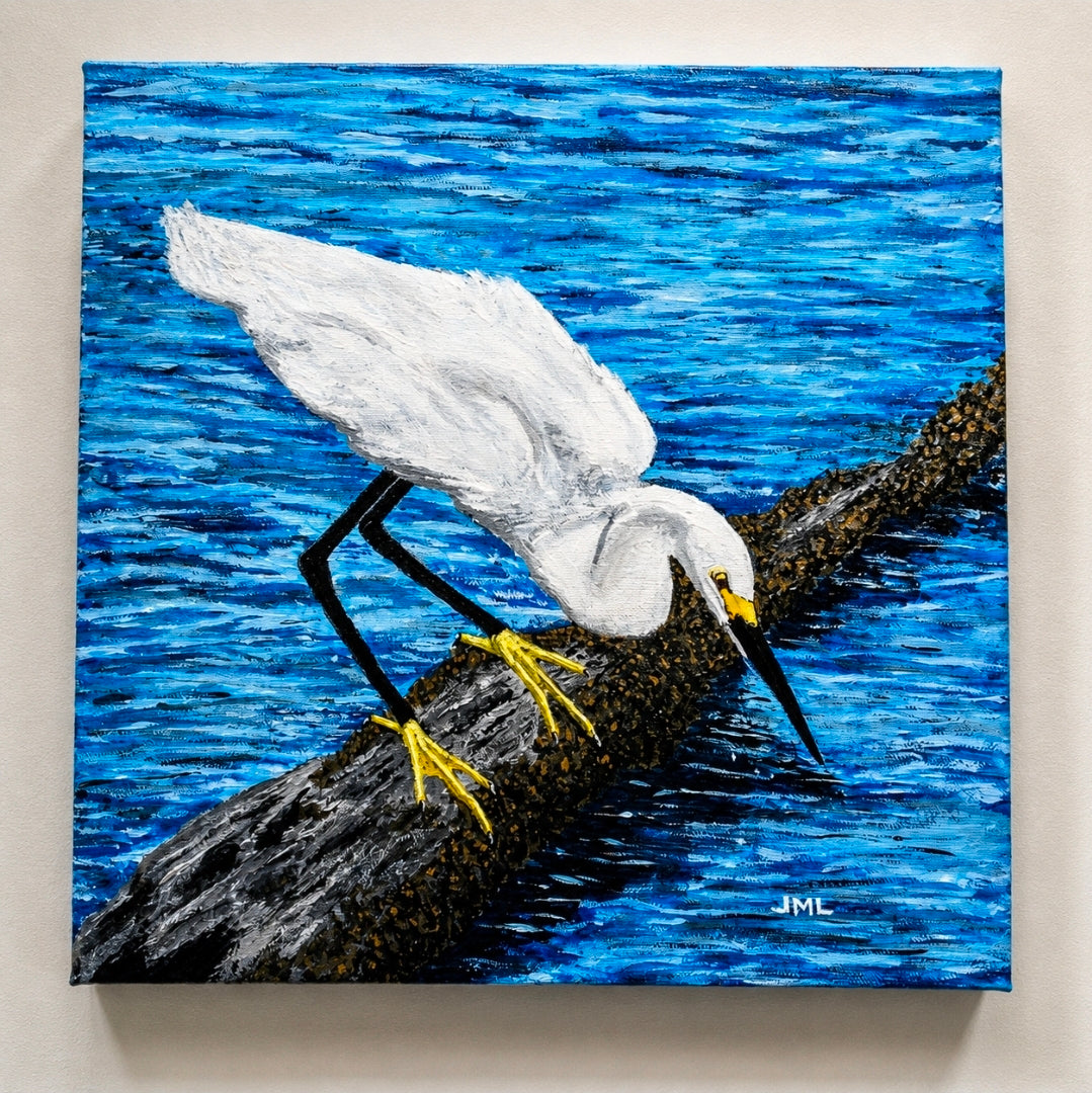 "Snowy Egret on the Hunt"