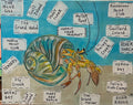 "Hermit Crab Passport"