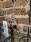 Red & Black Spider